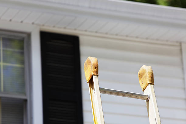 Professional Junk Removal in Lakewood Clu, MI